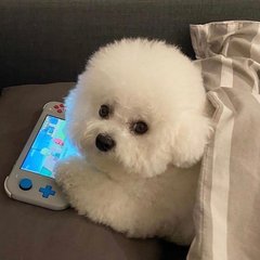 现在拨打的电话好看吗 豆瓣