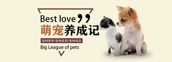 Meta和甄子丹完结了吗